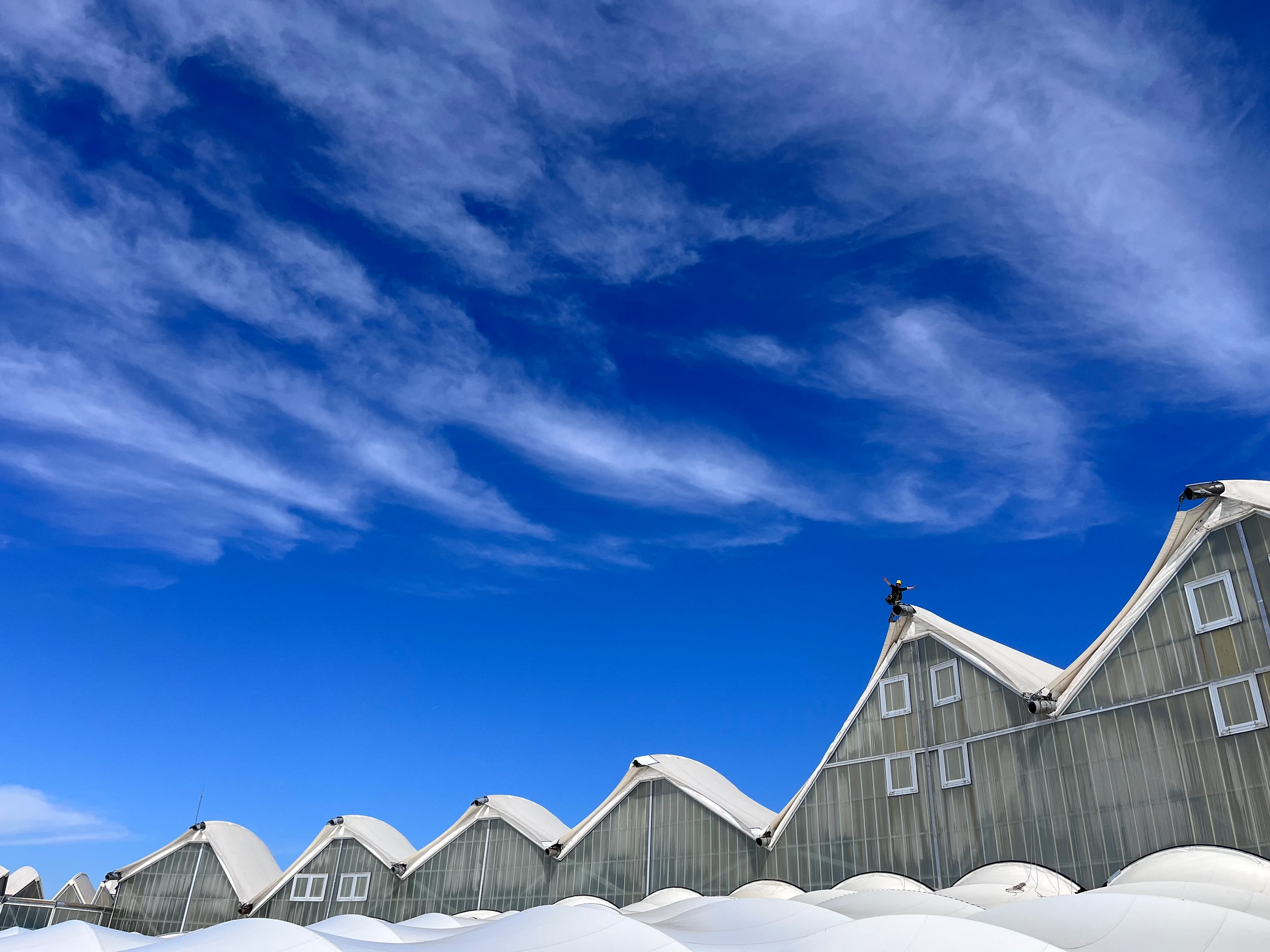 Intervention de cordistes MS Access pour rester au sec... à la piscine ! chez ANTILLES DE JONZAC à Jonzac (bâtiment) – 4